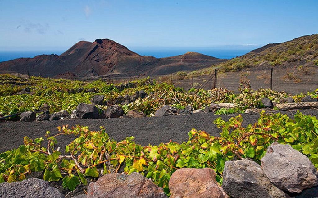 La Palmerita Vacacional Los Llanos De Aridane Exterior foto